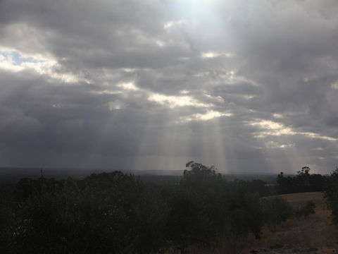 Tanen Farm - Accommodation Bookings 13