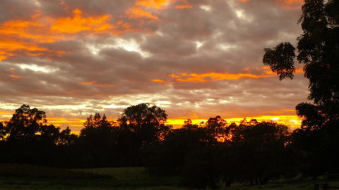 Windfall Estate Vineyard Cottage - Accommodation Bookings 32