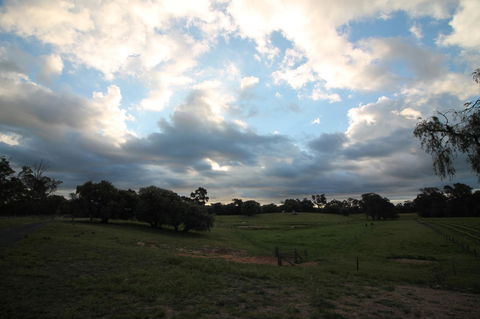Windfall Estate Vineyard Cottage - Accommodation Bookings 33