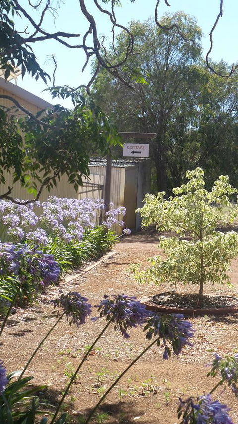 Windfall Estate Vineyard Cottage - Accommodation Bookings 13