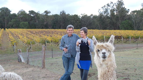 Windfall Estate Vineyard Cottage - Accommodation Bookings 11