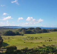 Torbay Seaview Apartment - Accommodation Bookings