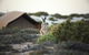 Sal Salis Ningaloo Reef - thumb 32