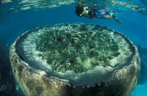 Sal Salis Ningaloo Reef - Accommodation Bookings 8
