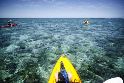 Sal Salis Ningaloo Reef - Accommodation Bookings 15