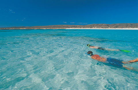 Sal Salis Ningaloo Reef - Accommodation Bookings 9