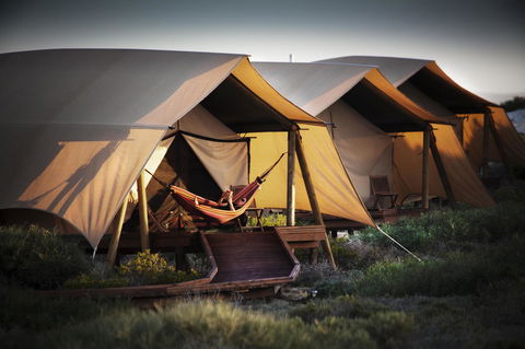 Sal Salis Ningaloo Reef - Accommodation Bookings 23