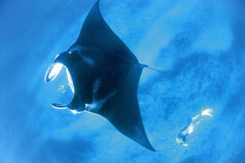 Sal Salis Ningaloo Reef - Accommodation Bookings 28
