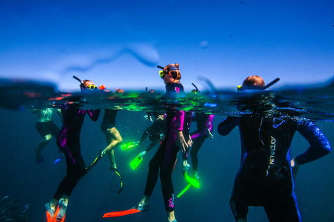 Sal Salis Ningaloo Reef - Accommodation Bookings 26
