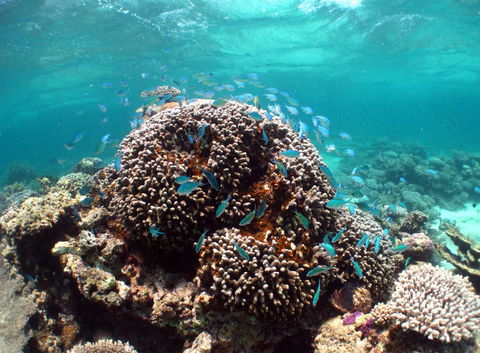 Ningaloo Coral Bay â€“ Bayview - Accommodation Bookings 2