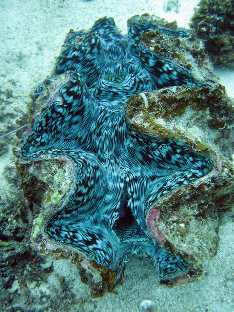 Ningaloo Coral Bay â€“ Bayview - Accommodation Bookings 5