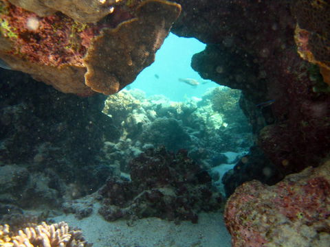 Ningaloo Coral Bay â€“ Bayview - Accommodation Bookings 4