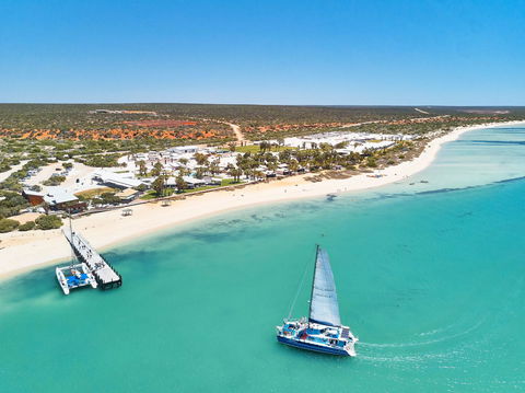 RAC Monkey Mia Dolphin Resort - Accommodation Bookings 44