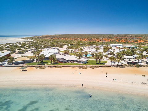 RAC Monkey Mia Dolphin Resort - Accommodation Bookings 42
