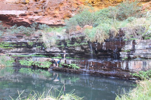 Tom Price Tourist Park - Accommodation Bookings 32