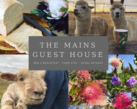 The Mains Guest House 2 Bedroom Farm Stay - Accommodation Bookings 0