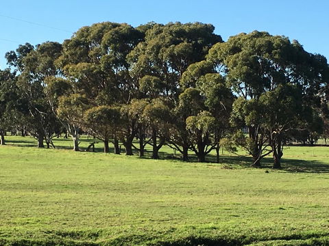 Cosy Corner Chalets - Accommodation Bookings 2