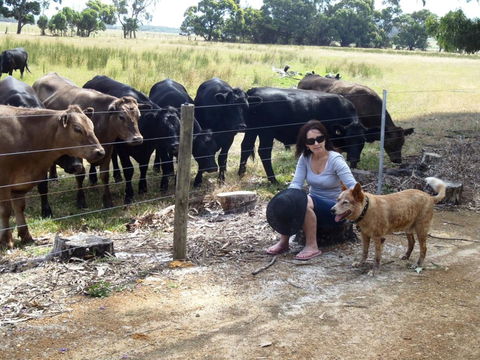 Cosy Corner Chalets - Accommodation Bookings 20