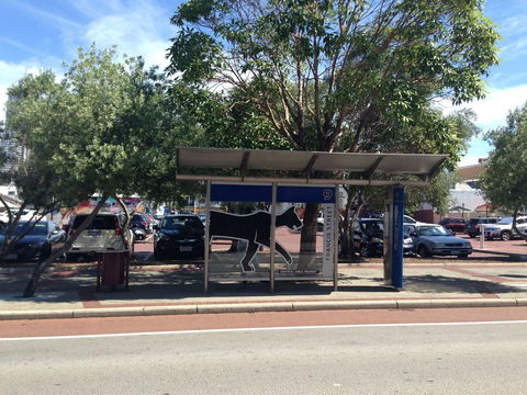 Perth Central Backpackers - Accommodation Bookings 25
