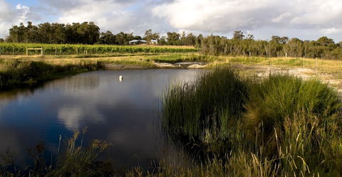 SilverSprings Spa Retreat Pet Friendly Cottages And Glampings - Accommodation Bookings 2