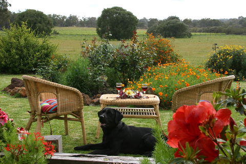 SilverSprings Spa Retreat Pet Friendly Cottages And Glampings - Accommodation Bookings 0