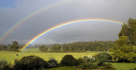 SilverSprings Spa Retreat Pet Friendly Cottages And Glampings - Accommodation Bookings 19