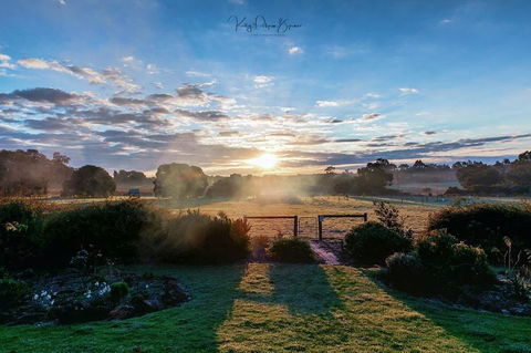 SilverSprings Spa Retreat Pet Friendly Cottages And Glampings - Accommodation Bookings 26