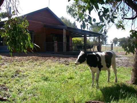 SilverSprings Spa Retreat Pet Friendly Cottages And Glampings - Accommodation Bookings 23