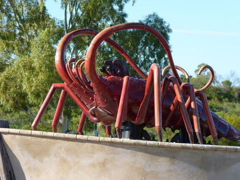 Leander Reef Holiday Park - Accommodation Bookings 4