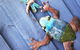 Aquatic Visions - thumb 44