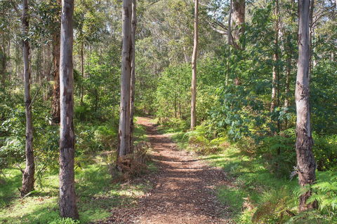 Tall Trees Margaret River - Accommodation Bookings 4