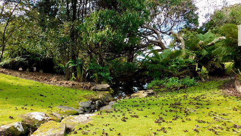 43 Degrees Bruny Island - Accommodation Bookings 8