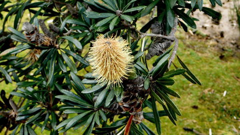43 Degrees Bruny Island - Accommodation Bookings 11