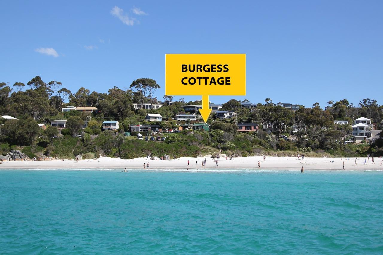 Pyengana TAS Accommodation Bookings