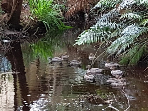 Strahan Retreat Holiday Park - Accommodation Bookings 24