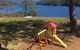 Tullah Lakeside Lodge - thumb 15