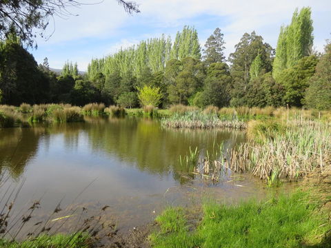 Giants Table And Cottages - Accommodation Bookings 25
