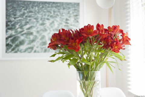 On The Beach Waterfront Apartment - Accommodation Bookings 0