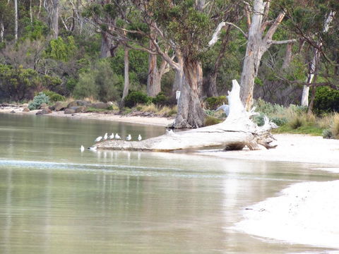 The Boat Shed - Accommodation Bookings 12