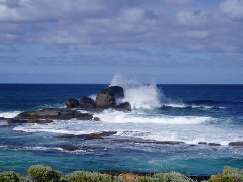 Seascape Beach House - Accommodation Bookings 6