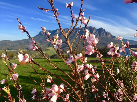 Manna Hill Farm - Accommodation Bookings 3