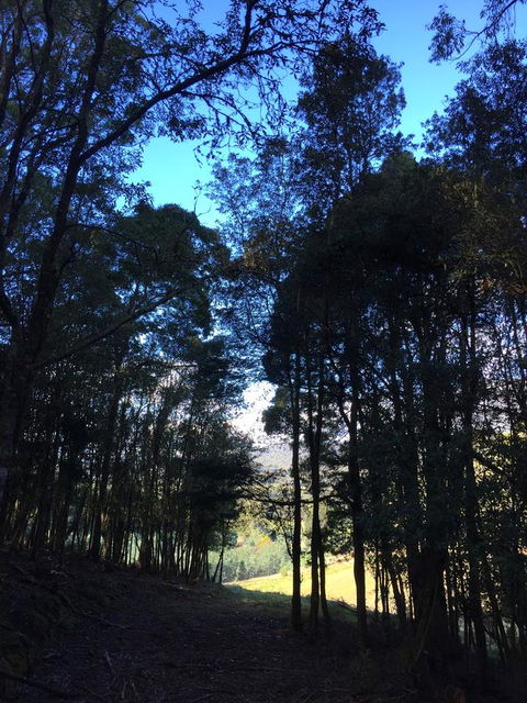 Manna Hill Farm - Accommodation Bookings 27