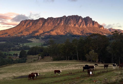 Manna Hill Farm - Accommodation Bookings 10