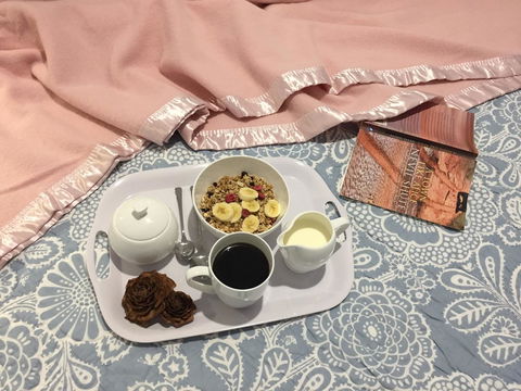 Manna Hill Farm - Accommodation Bookings 34