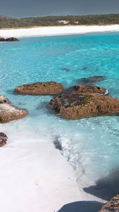 Georges Bay Apartments - Accommodation Bookings 1