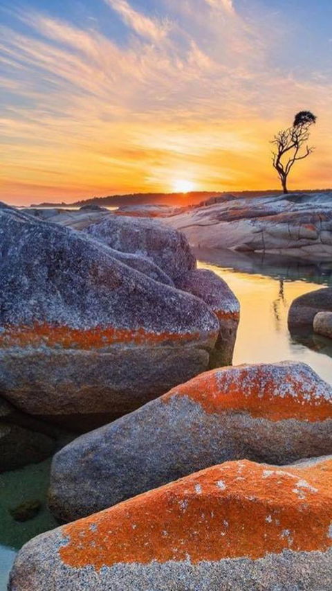 Georges Bay Apartments - Accommodation Bookings 3