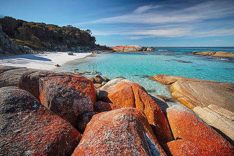 Georges Bay Apartments - Accommodation Bookings 0