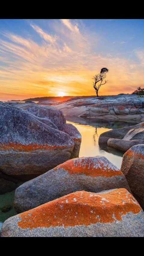 Georges Bay Apartments - Accommodation Bookings 4