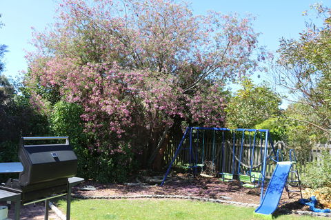 Sisters Beach Paradise - Accommodation Bookings 9