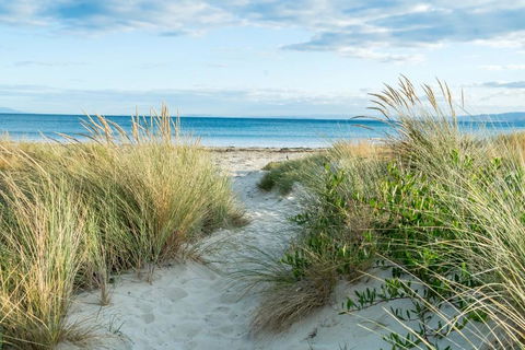 Freycinet Panorama - Accommodation Bookings 17